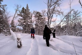 Racchette da neve in una foresta invernale