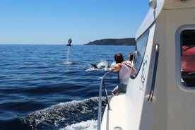 Passeio De Barco Para Observação De Golfinhos pela Costa Arrabida e Sesimbra