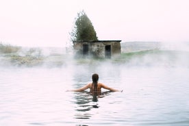 Einkarekið Gullna hringurinn, Sky Lagoon og Friðheimar Gróðurhús Hádegisverður