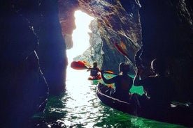 Sea Cave Kayaking Experience