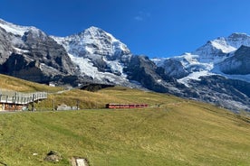 De Basel Small Group - Jungfraujoch (Top of Europe) et la région d'Interlaken