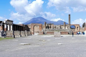 Escapada de un día al Monte Vesubio y Pompeya desde Nápoles