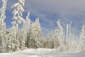 Hiver dans les hautes montagnes des Tatras