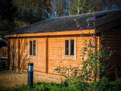 New Forest Lodges