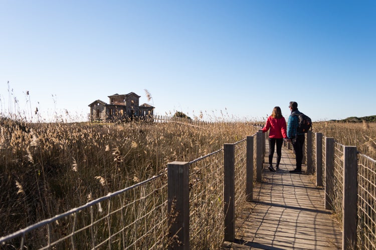 Natural views in Delta del Llobregat, Catalonia, Spain