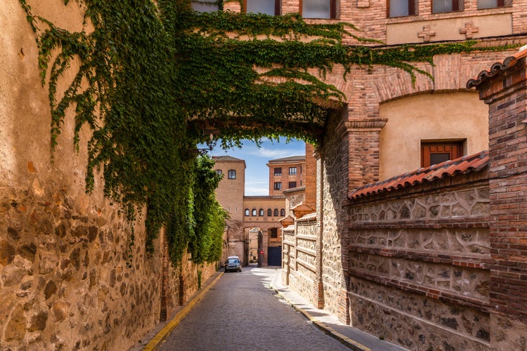 photo of view of Narrow stone passageway on a medieval street of Segovia, Spain, overgrown with lush green ivy (Hedera).