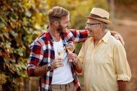 Visite privée à pied du vignoble de Baden Neuweirs