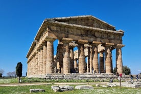 Heldags privat rundtur - Paestums tempel och ruinerna av Pompeji