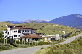 Melnik dégustation de vins de Sofia