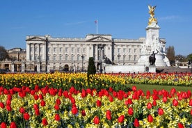 Full Day Deluxe London Tour from Southampton Cruise Port