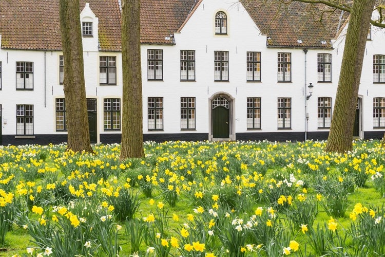 Visit Beguinage A Lost World Made by Women.jpg