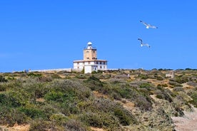 Valencia to Isla Tabarca Inhabited Island Tour