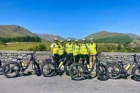 Electric Fat Tire Bike로 Connemara Tour 둘러보기