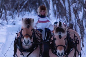 Sleigh Ride w / Tapas Meal - Ervaar Arctic Farm Life