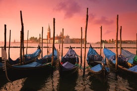 Gran Venecia: excursión en tierra de lujo con góndola desde Rávena