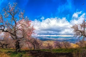 Viagem particular de um dia para Sierra Nevada saindo de Granada com um morador local