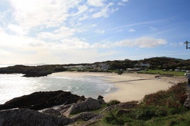 Ring of Kerry-Tagesausflug mit Killarneys Seen und Nationalpark