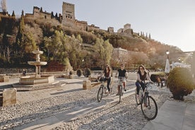 Zooming por Granada: um divertido passeio de bicicleta elétrica