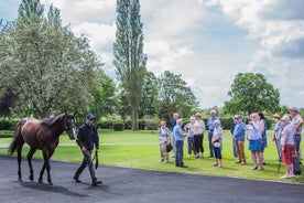 Tour guidato di mezza giornata dietro le quinte di Newmarket