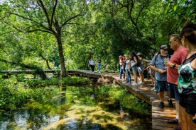 Frá Split: Krka-fossar og Gönguferð um Trogir