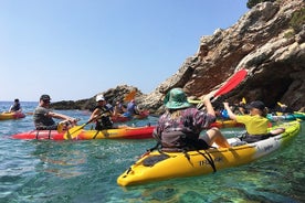 Aventura de natação e mergulho com snorkel na Lagoa Azul da Croácia