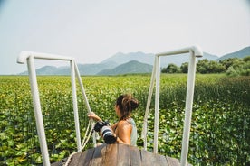 From Virpazar: Guided Lake Skadar cruise and Crnojevića River