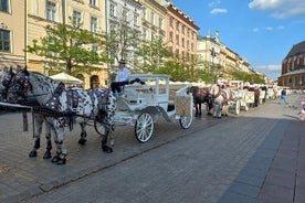 Tour de día completo desde Varsovia a Auschwitz (guiado) y Cracovia en coche