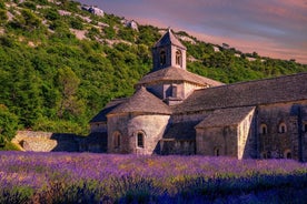 Excursion en petit groupe dans les champs de lavande du Luberon