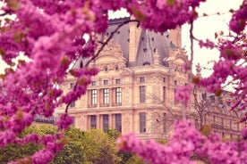 Exclusive Walking Tour of Central Paris With Local Guide