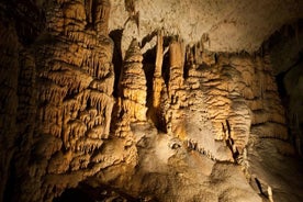 Visite privée de la grotte de Postojna et du château de Predjama au départ de Bled