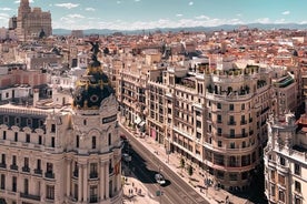 Sosta a Madrid un tour privato con un locale: i migliori punti salienti di Madrid