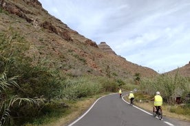 Elektrisk cykel bjergtur Valgfri tapas i en aboriginal hule