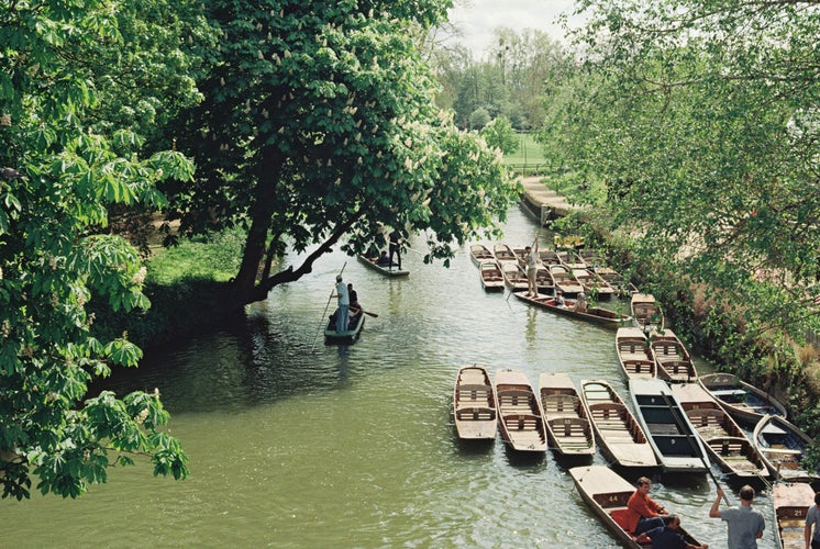 punting.jpg