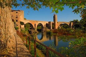 Besalu, Banyoles Lake og Garrotxa Volcanoes Small Group fra Girona