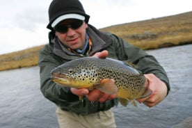 From Reykjavik: Lake and River Fishing Tour