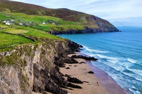 Dingle: Hour Slea Head Drive Tour 4hr - Personal Chauffeur Guide