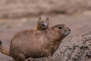 Děčín Zoo