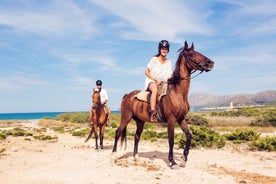 Paros: Morning Island Horseback Riding Adventure