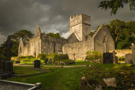 photo of Muckross Abbey ruins in Ireland .