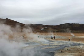 Ísland: Mývatn og Goðafoss ferð með rútu