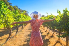 De Vérone et Garda: visite de Sirmione et Lugana Wine Experience