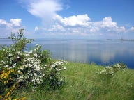 Hotell och ställen att bo på i Orenburg, Ryssland