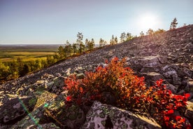 Guided easy hike in Finland deepest gorge in Pyhä-Luosto National Park