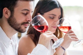 Tour di degustazione di vini di Francoforte con un esperto di vini