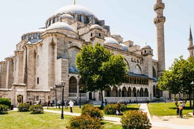 Istanbul: Hagia Sophia, Blue Mosque, Suleymaniye Mosque Tour