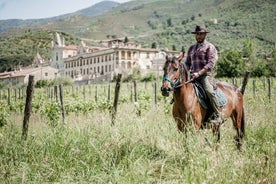 Passeio a cavalo de 1 hora em Valgraziosa Pisa