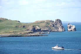 Sigling fram og til baka frá Howth til Eye Island írlands