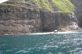 Sommer-Ganztagestour nach Vestmanna, Kvívík, Gásadal und Sandavag