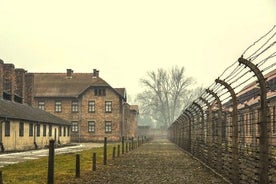 Krakow: Auschwitz-Birkenau guidet tur og hotellhenting