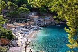 Tour di un'intera giornata all'isola di Maiorca